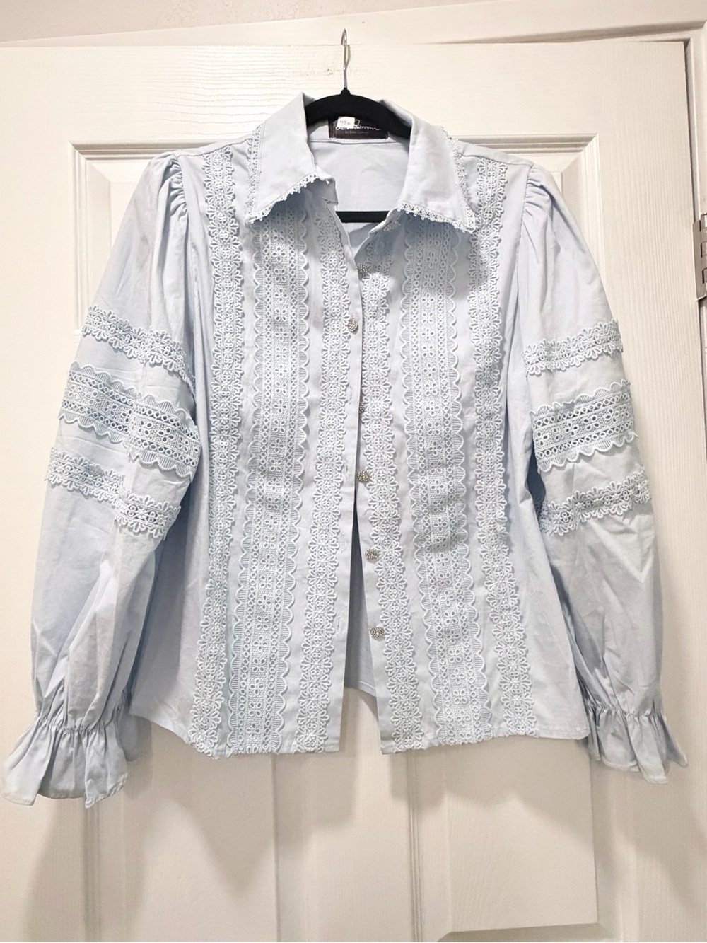 NWOT Women's Light Blue Lace-Trim Button Front Blouse